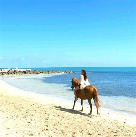 Horseback Riding On The Beach In Miami Horseback Riding Beach Horseback