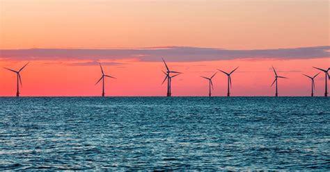 Impacts Of Offshore Wind Farms New Evidence Base Energy News