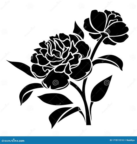 Black Silhouette Of Peony Flowers Vector Illustration Stock Vector