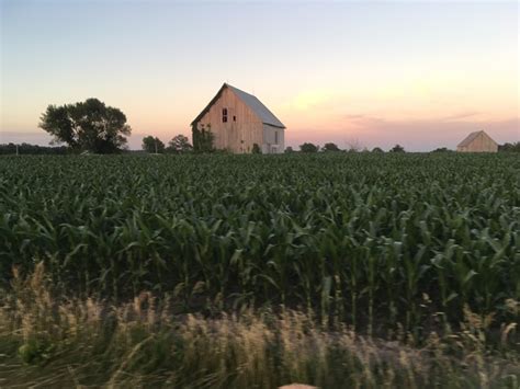 Missouri On Track For Second Highest Corn Harvest On Record Agweb