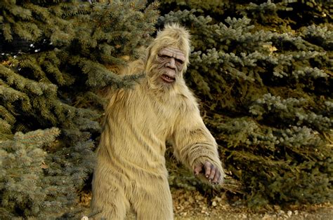 Complete List Of Bigfoot Sightings In The Rockford Area