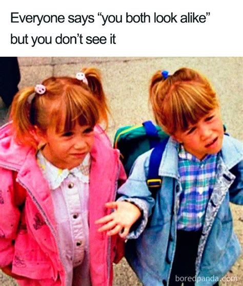 30 Best Sibling Memes True Siblings Would Relate To Small Joys