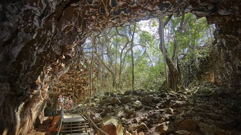 The Best Caves To Visit Near Brisbane And Beyond Concrete Playground
