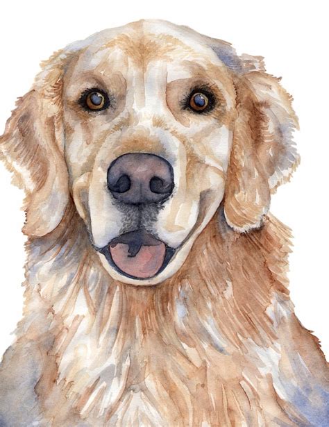 A Watercolor Painting Of A Golden Retriever Dogs Face With Brown Eyes