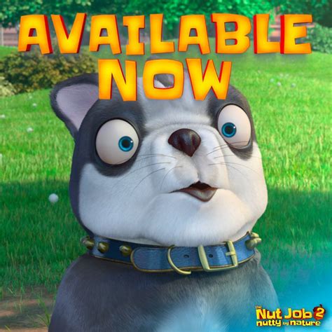 Fans of the first film may like this more coherent sequel but otherwise the nut job 2 is pretty forgettable stuff, and seems unlikely to generate a third movie. The Nut Job 2 (@TheNutJobMovie) | Twitter