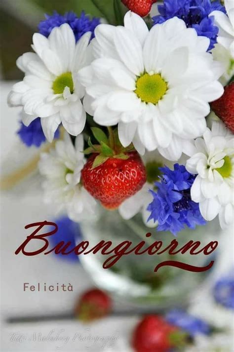 Elegante vestito abito corto bianco fiori estivo scampanato comodo. Pin di Nicoleta Radi su Buon Giorno | Buongiorno, Immagini ...