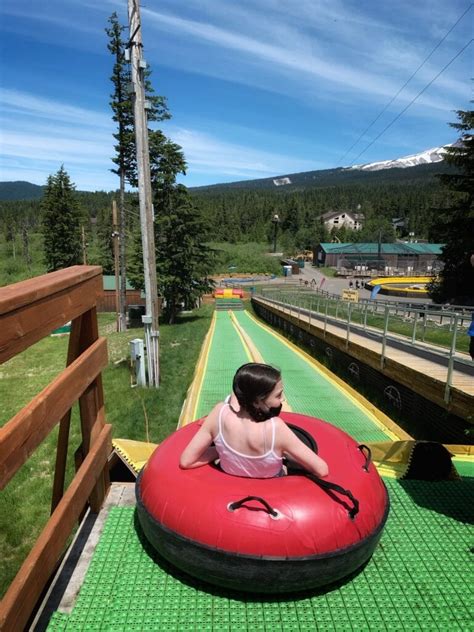 Adventure Park Ski Bowl Summer Fun At Mt Hood Or