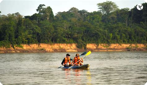 Amazon Rainforest Adventure Neotropic Peru Travel