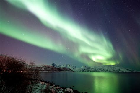 Amazing Northern Lights Tours Norway Today