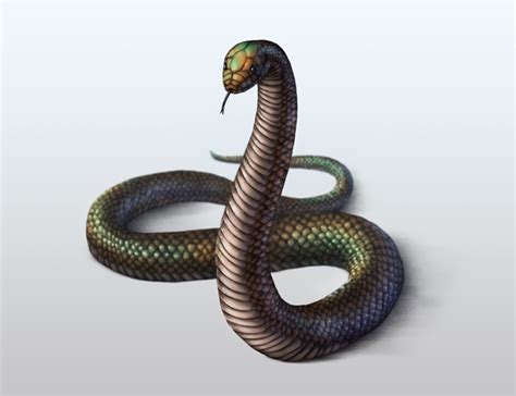 We did not find results for: How to draw snakes and their patterns - tutorial by ...