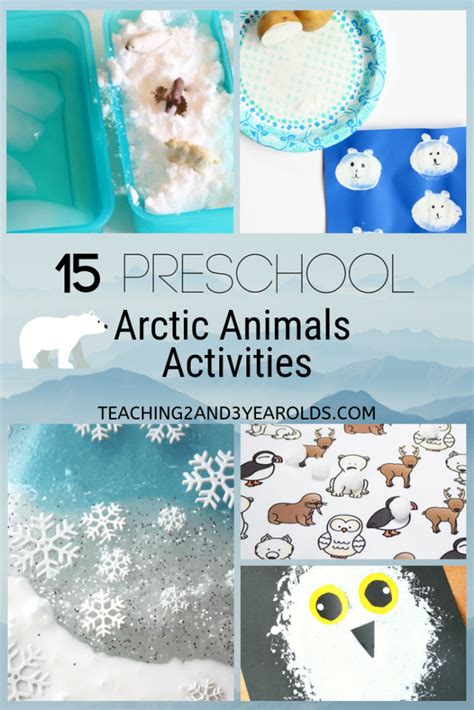 15 Of The Best Preschool Arctic Animals Activities