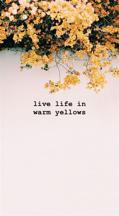 Inspiring Colour Quotes Wise Words Summer Yellow Flowers Pretty