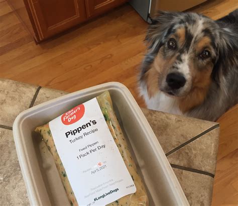 Farmers Dog Copycat Recipe Find Vegetarian Recipes