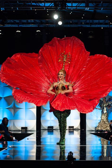 National Costume Miss Universe Miss Universe Hopefuls Make Bold