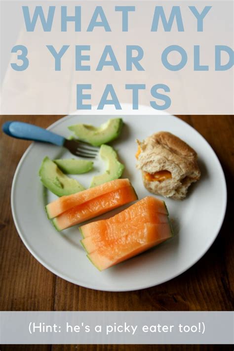What A 3 Year Old Eats Kath Eats Real Food Healthy Meals For Kids
