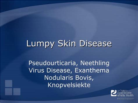 Ppt Lumpy Skin Disease Powerpoint Presentation Free Download Id225543