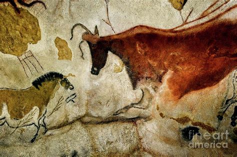 Hall Of The Bulls Lascaux Photograph By Doc Braham Fine Art America