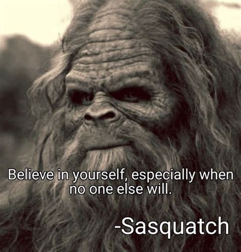 49 Amusing Memes Simply Here For Your Enjoyment Bigfoot Humor