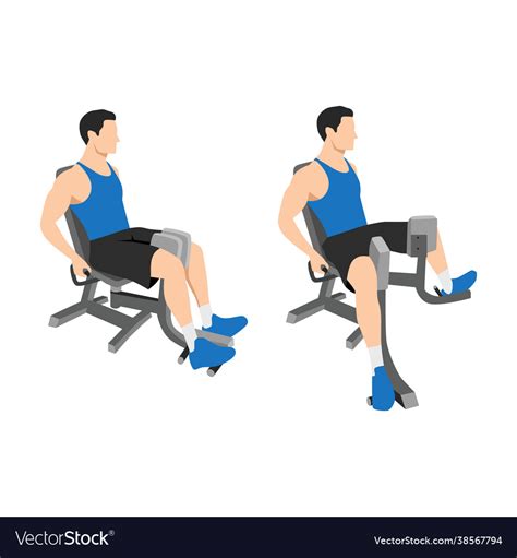 Man Doing Adductor Adduction Inner Thigh Machine Vector Image