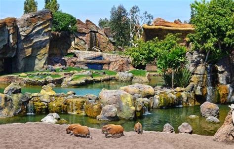 The Most Beautiful Zoos In Europe Largest Zoo In Europe