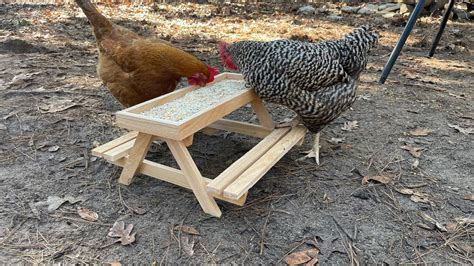 Chicknic Table Chicken Picnic Table Chicken Feeder And Water Bowl Etsy
