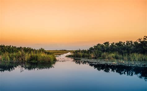 15 Interesting Facts About The Florida Everglades