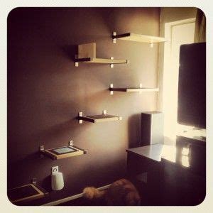 More importantly, cat wall climbing shelves allow your cats to explore and lounge up high, which cats love. diy cat climbing shelves. a cat behaviorist recommended ...