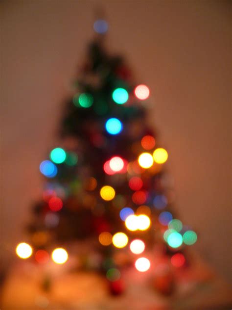 Christmas Tree Free Stock Photo Public Domain Pictures