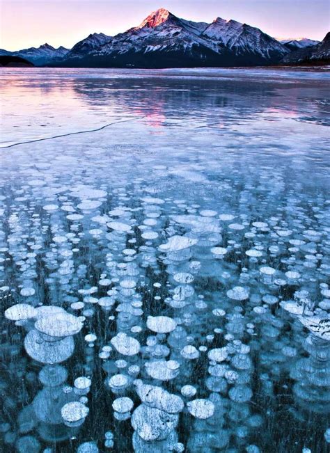Stunning Frozen Air Bubbles At Abraham Lake Canada 2 Stunning Frozen