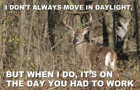 Pin By Felicity Clark On So My Husband Deer Hunting