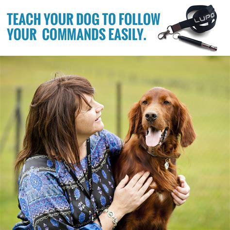 Acme dog whistle 210.5 black. Dog Whistle Puppy Training Ultrasonic Pitch Sound ...