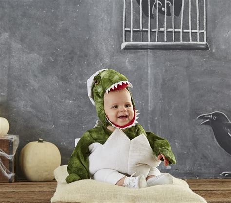 Baby Dinosaur Costume Pottery Barn Costumes For Babies Popsugar