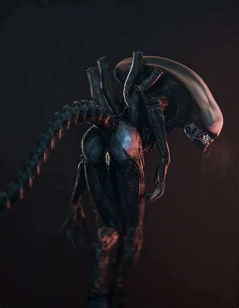 Rule 34 3d Alien Alien Franchise Anus Ass Female Female Xenomorph