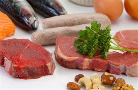 Рецепты блюд при белковой диеты Рецепты белковых блюд для белковой диеты – Рецепты блюд белковой диеты Рецепты белковых блюд для белковой диеты – Рецепты блюд белковой диеты Рецепты блюд при белковой диеты