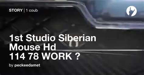 1st Studio Siberian Mouse Hd 114 78 Work ⏩ Coub
