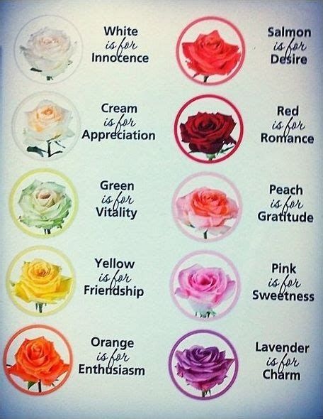 Different types of flowers and their meanings. So cute! Different roses and what the colors stand for. :D ...