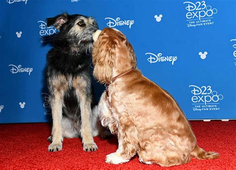 Disney Debuts Trailer For Lady And The Tramp Live Action Remake