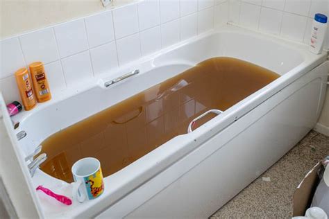 Womans Bathtub Fills With Human Poo And Starts Seeping Through Ceiling