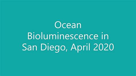 Ocean Bioluminescence Under The Microscope La Jolla Shores April