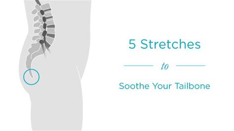 Tailbone Stretches For Pain And Support Tailbone Stretches Coccyx