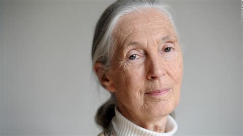 In These Very Dark Times Jane Goodall Explains Why She Is Still