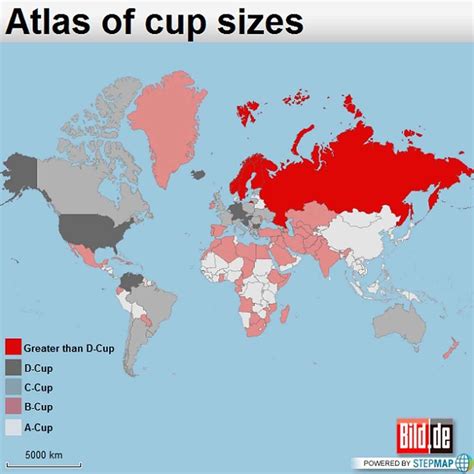 World Breast Size Chart