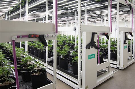 Commercial Grow Room Design Plans
