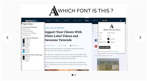Top 10 Best Chrome Extensions To Identify Fonts