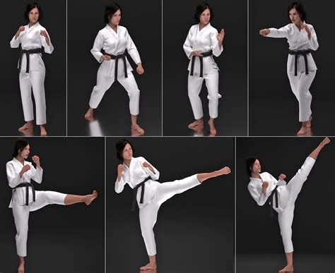 Martial Arts Poses By Johndoe