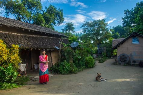 Best Things To Do In Bardiya Nepal Blog Community Homestay