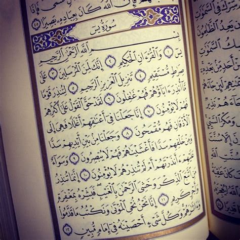 Bacaan surat yasin ayat 1 sampai 83 lengkap (latin + terjemahan). Surat Yasin Dalam Al Quran - Gbodhi