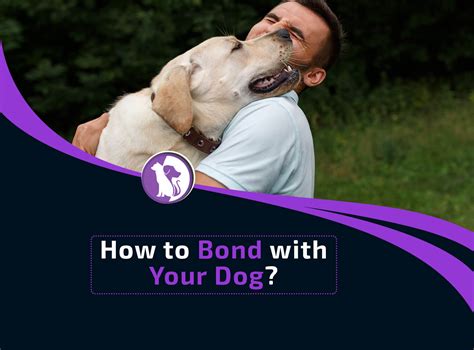 How To Bond With Your Dog