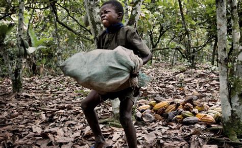 41 Of The Children In Africa Are Engaged In Child Labor Aged Between 5