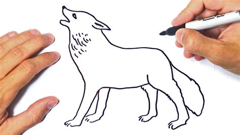 Easy Drawing Of Wolves Draw Spaces
